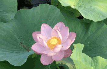 沈陽(yáng)水處理設(shè)備廠(chǎng)家及其產(chǎn)品概述