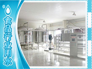 食品廠(chǎng)、水廠(chǎng)生產(chǎn)用水系列